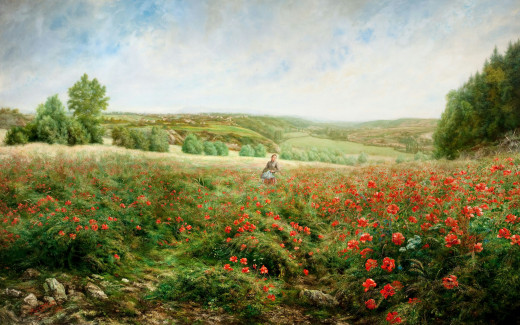 1144288 (a): :3000x1871